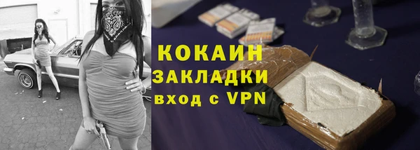 винт Абаза
