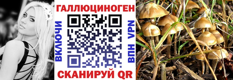 хочу   Чаплыгин  Галлюциногенные грибы мухоморы 