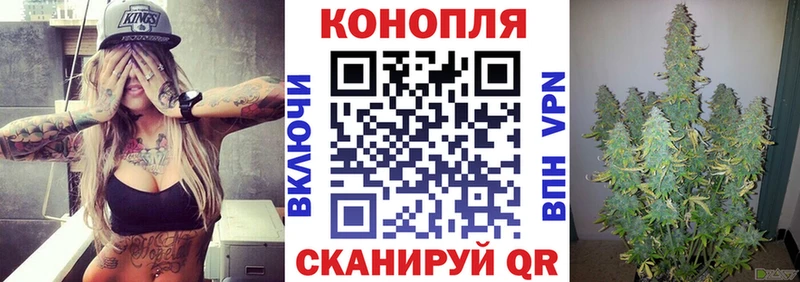 Шишки марихуана сатива купить сайты Чаплыгин